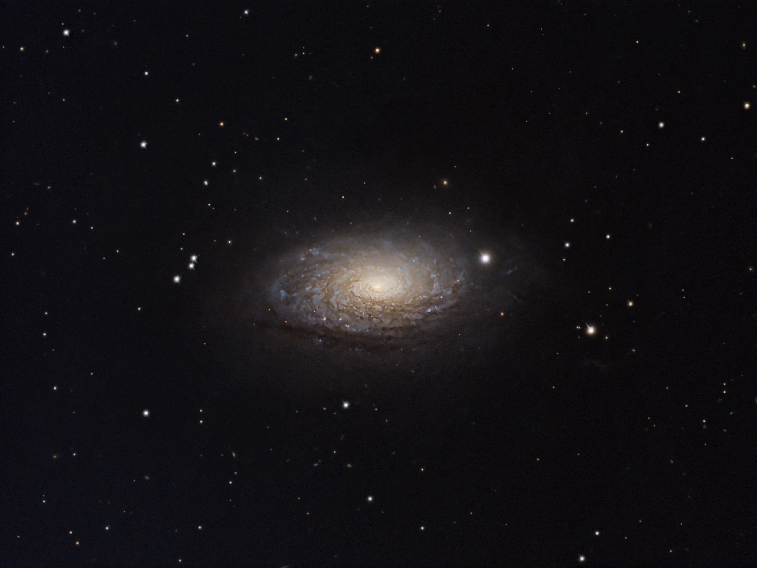 M63 M63 / Sunflower Galaxy astrophotography image by NightSkyLens