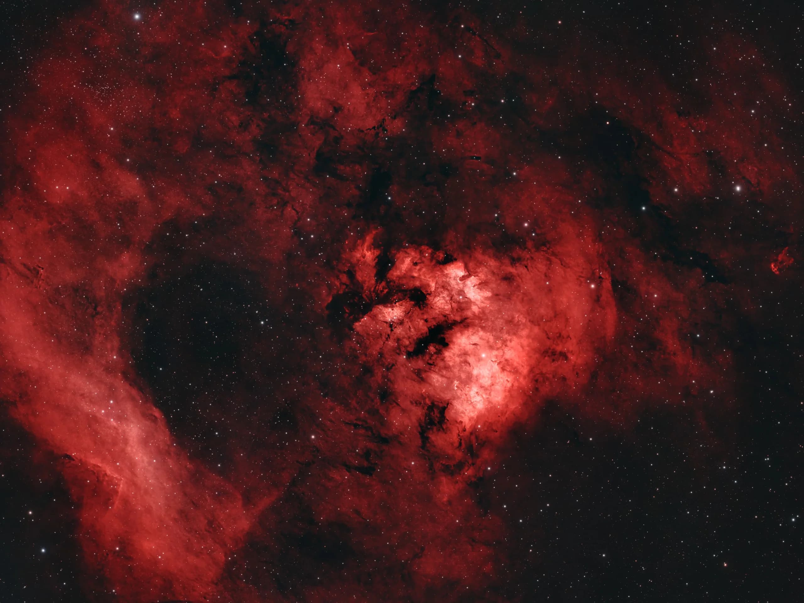 Teddy Bear Nebula astrophotography image by NightSkyLens