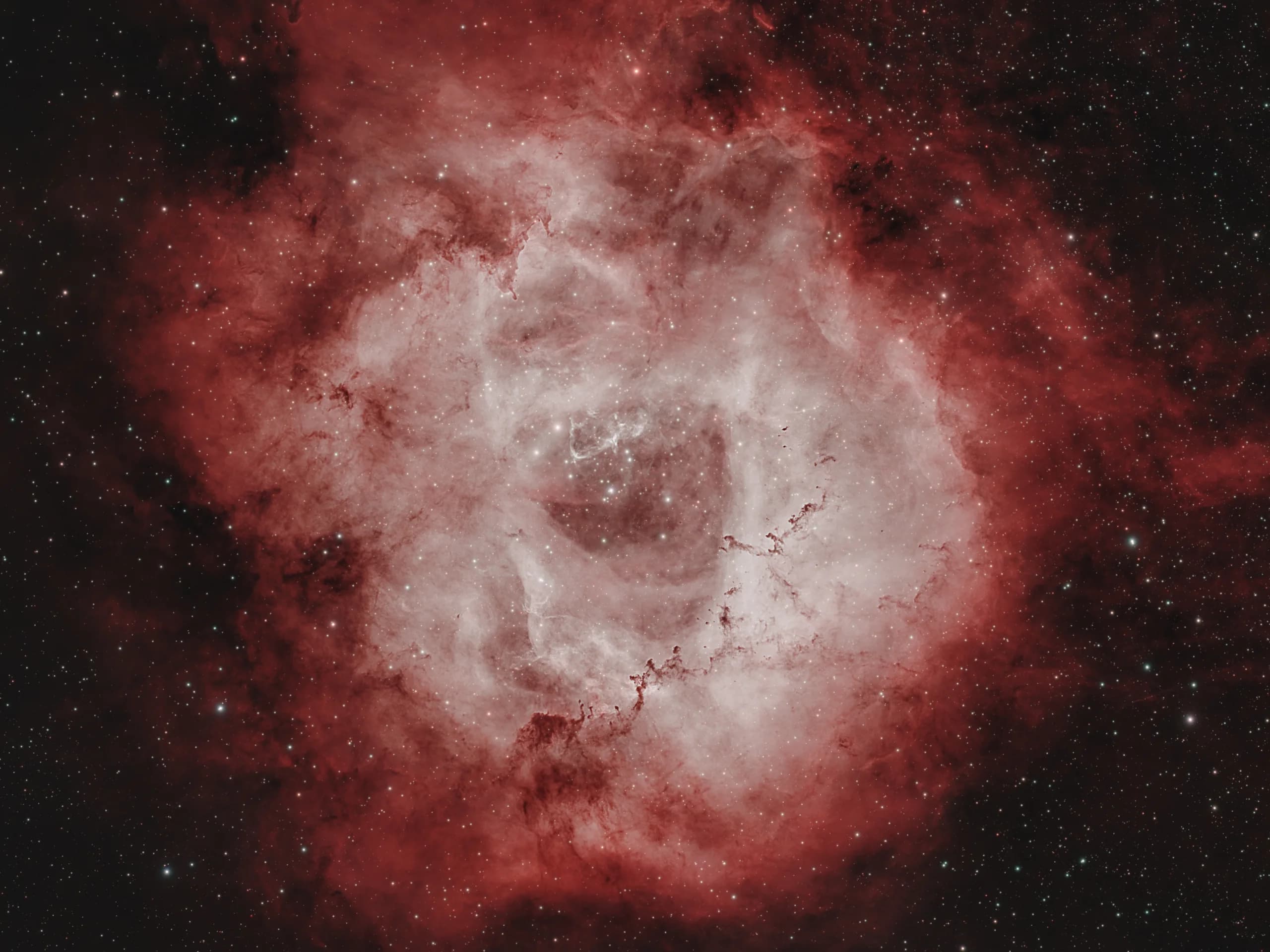 NGC 2237 Rosette Nebula astrophotography image by NightSkyLens