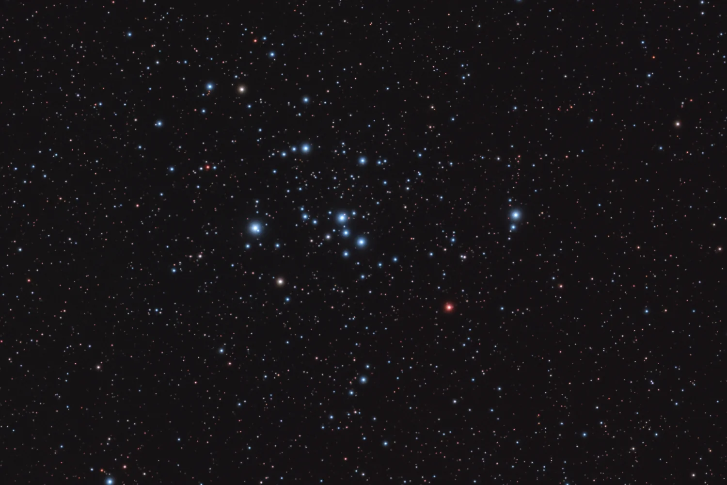 M47 M47 Open Cluster astrophotography image by NightSkyLens