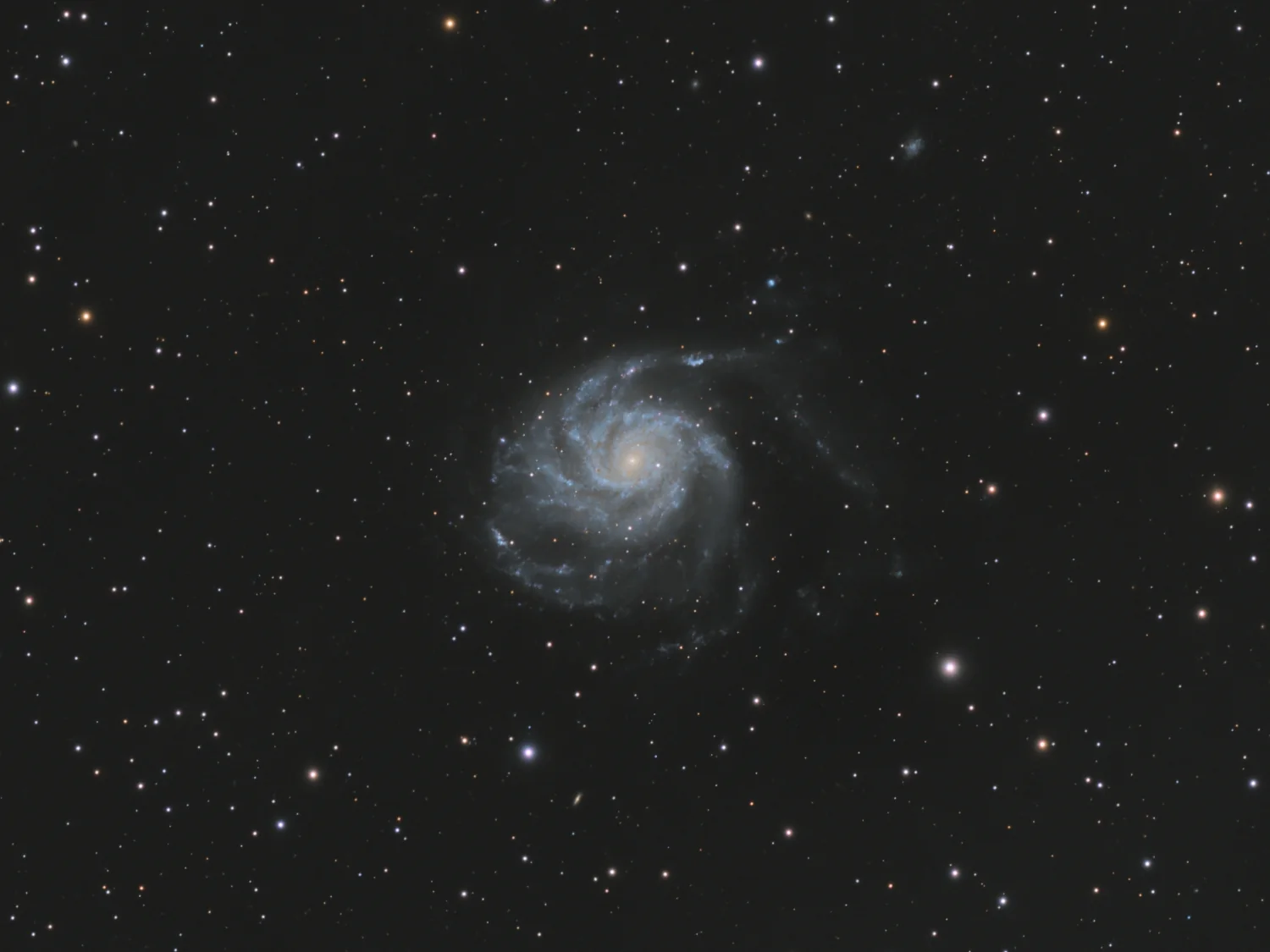 M101 M101 Pinwheel Galaxy astrophotography image by NightSkyLens