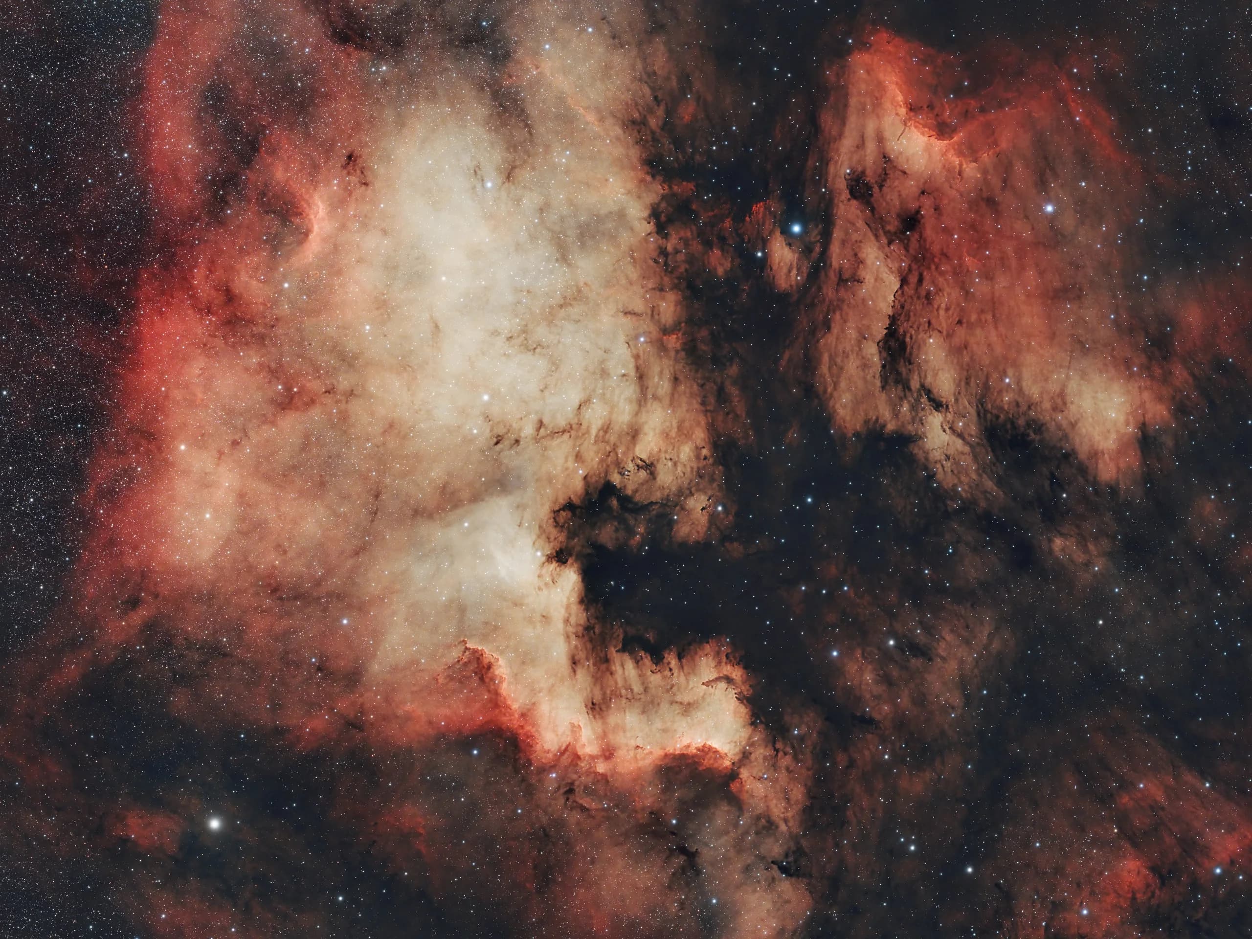 NGC 7000 North America Nebula astrophotography image by NightSkyLens